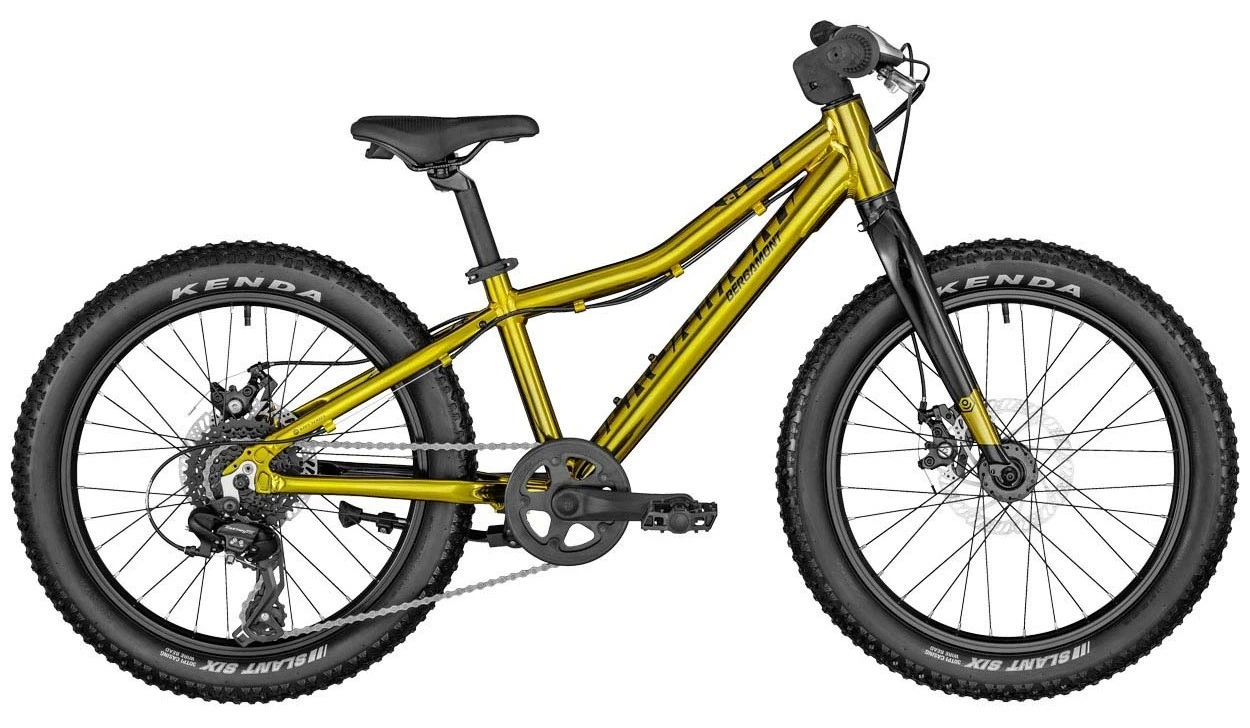 Bergamont Bergamonster 20 Plus Boy 3 Bergamont Bergamonster 20 Plus Boy