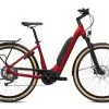 Flyer Upstreet5 3.12 -Fahrradladen 53855 872010547868020upstreet5203.1220comfort20mercuryredgloss