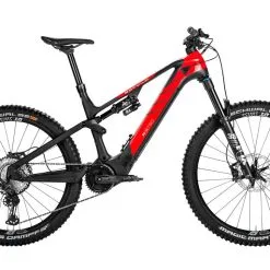 Rotwild 22_R.X750 PRO